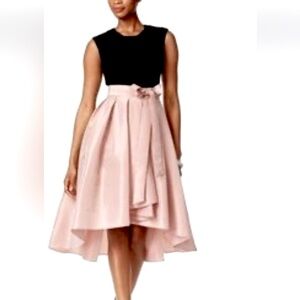 S.L. Fashions Black and Pink Dress